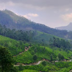 Munnar Mountain by Rovertales